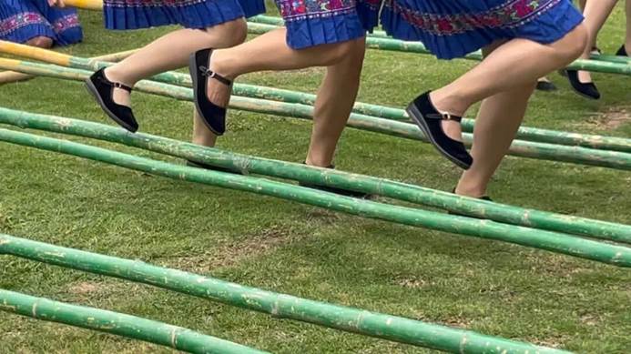 围栏里女人在草地上 AI 生成的内容可能不正确。