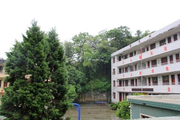 建筑旁的树 AI 生成的内容可能不正确。