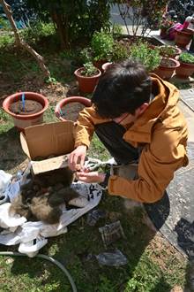 碗里有一些人在草地上吃草 AI 生成的内容可能不正确。