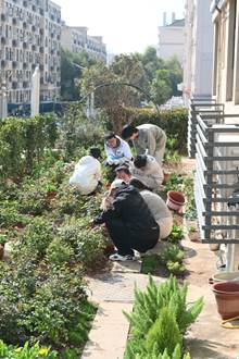 花园里的雕塑 AI 生成的内容可能不正确。