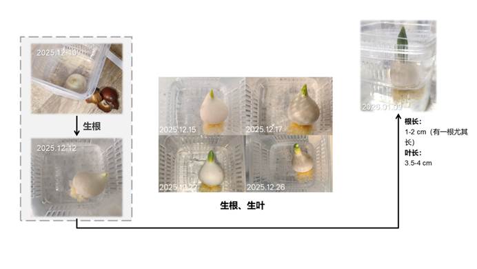 图形用户界面 AI 生成的内容可能不正确。