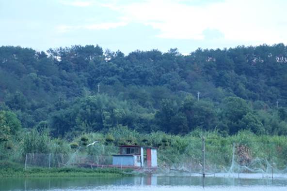 湖边的风景 AI 生成的内容可能不正确。